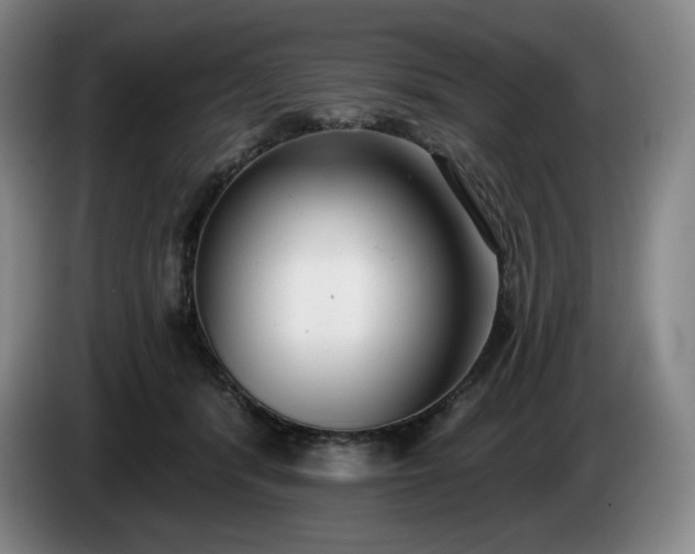 X0000085000416200703121504