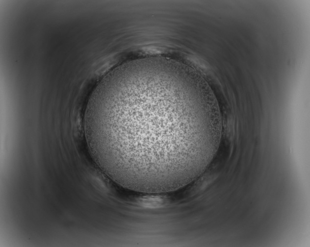 X0000085000418200703121504