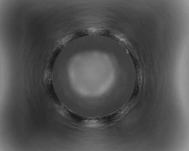 X0000085000419200703121504