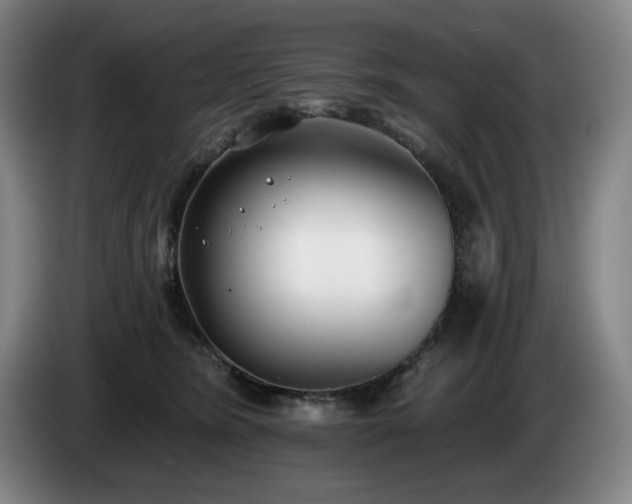 X0000085000420200703121504