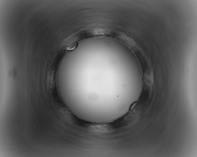 X0000085000422200703121504