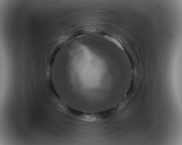 X0000085000423200703121504