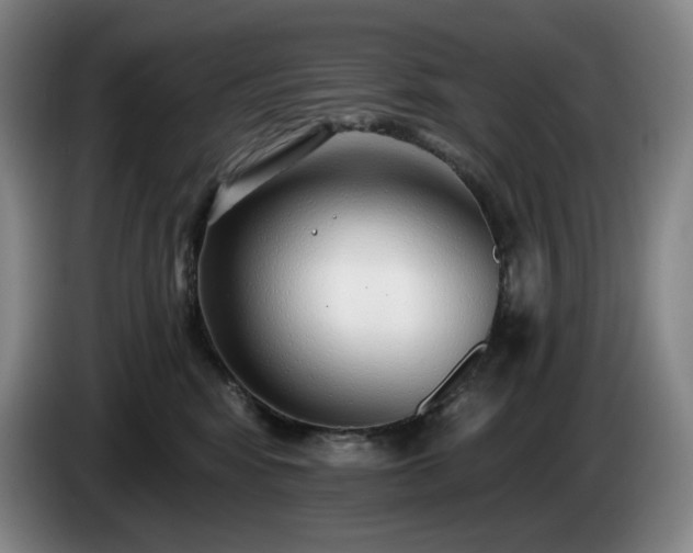 X0000085000424200703121504