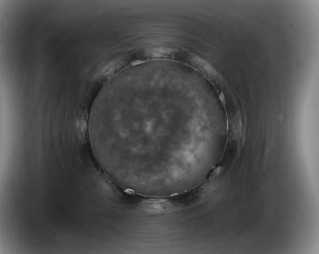 X0000085000427200703121504