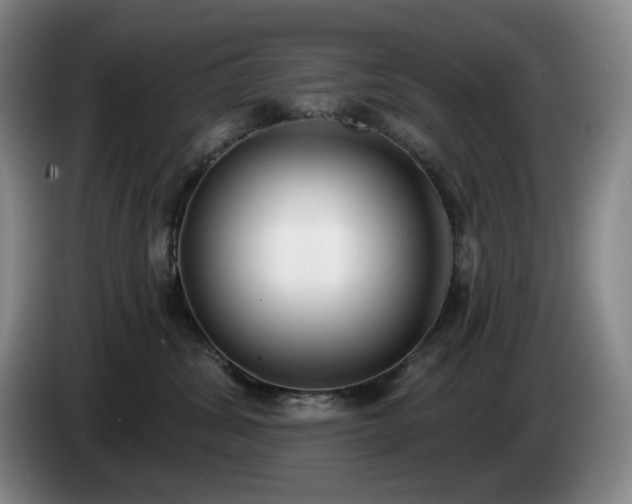 X0000085000428200703121504