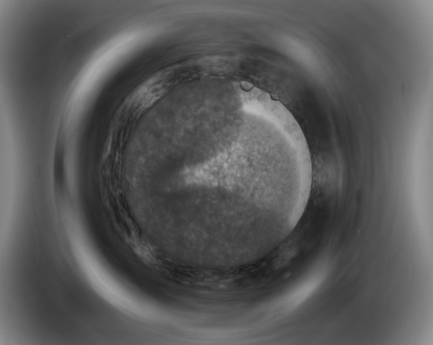 X0000085000431200703121504