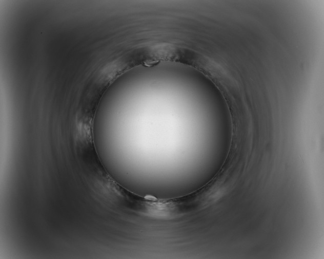 X0000085000432200703121504