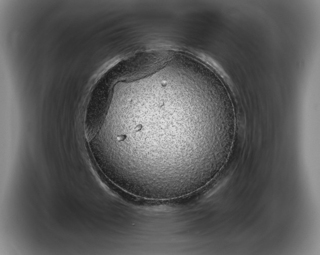 X0000085000433200703121503