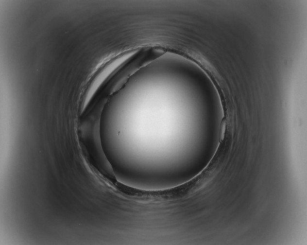 X0000085000434200703121504