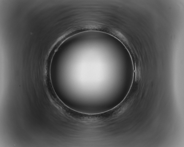 X0000085000435200703121504