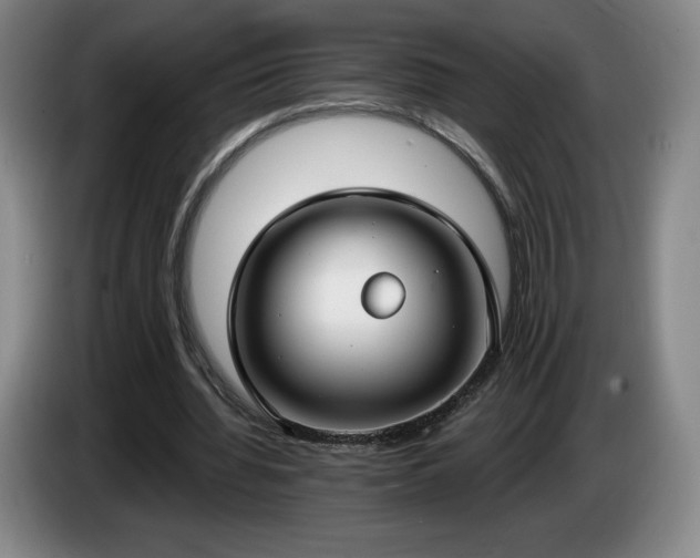 X0000085000436200703121504