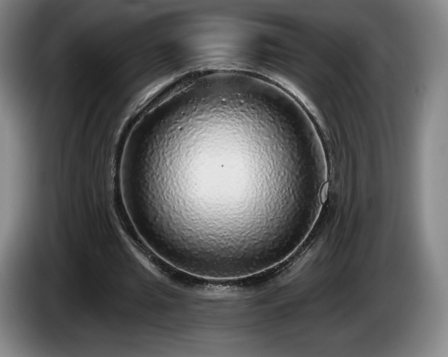 X0000085000437200703121504