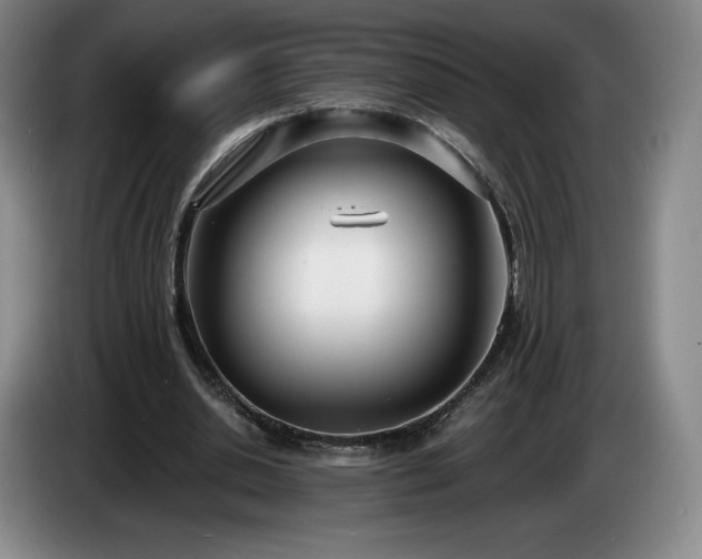 X0000085000438200703121504