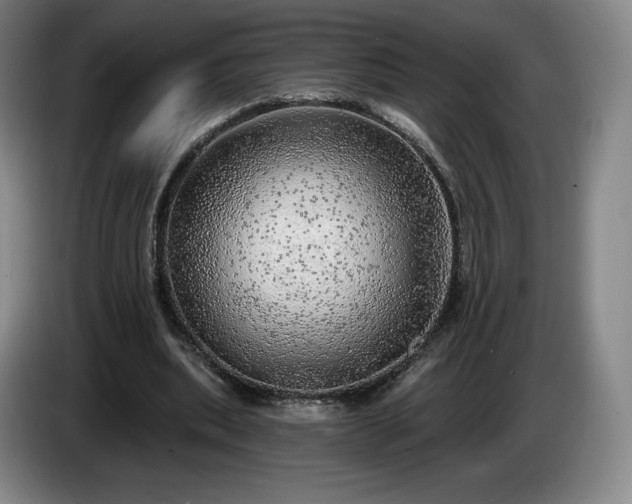 X0000085000439200703121504