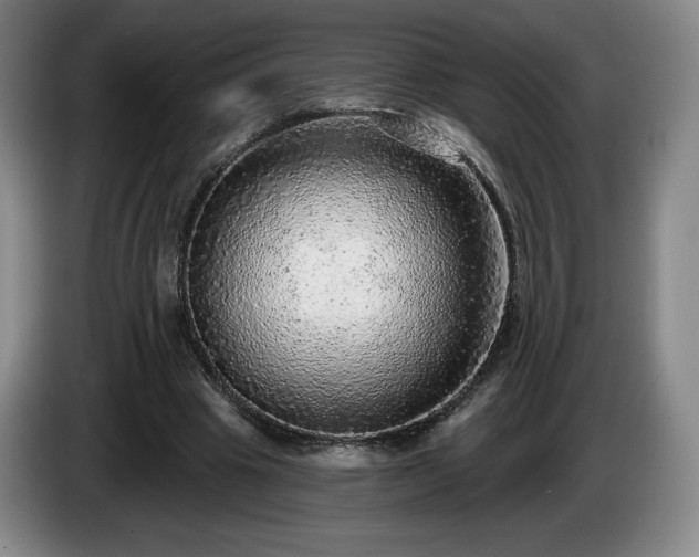 X0000085000441200703121504