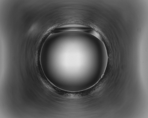 X0000085000442200703121504