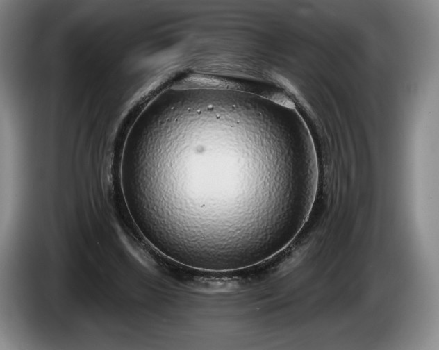 X0000085000443200703121504