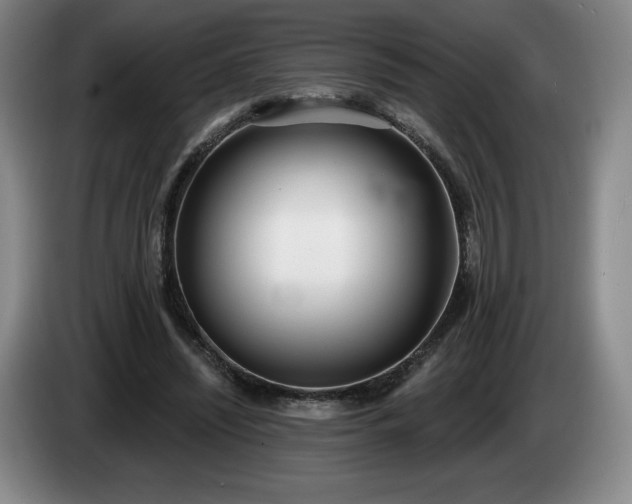 X0000085000444200703121504