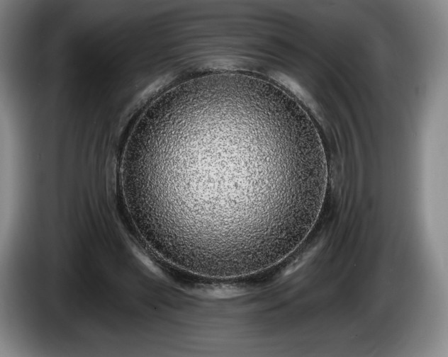 X0000085000445200703121504