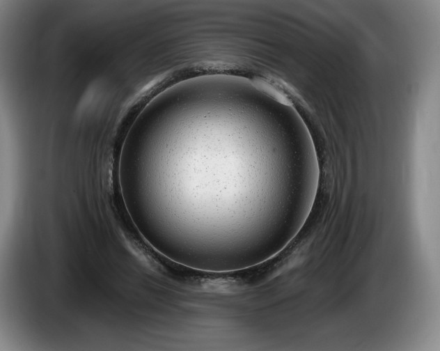 X0000085000446200703121504