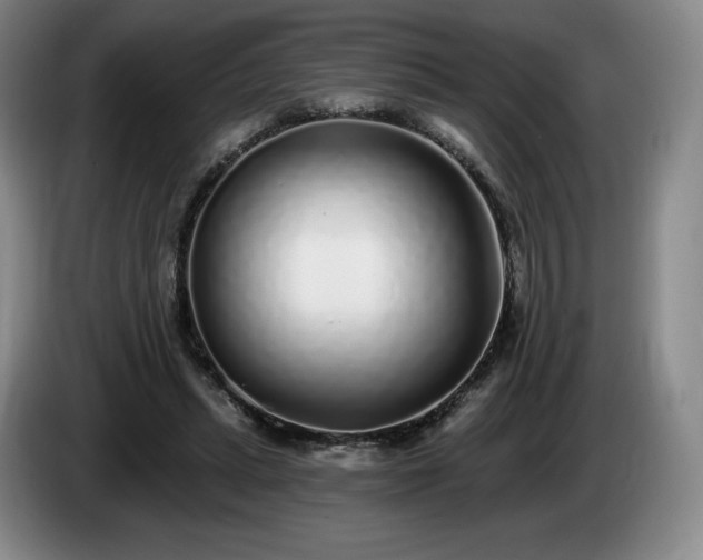 X0000085000447200703121504