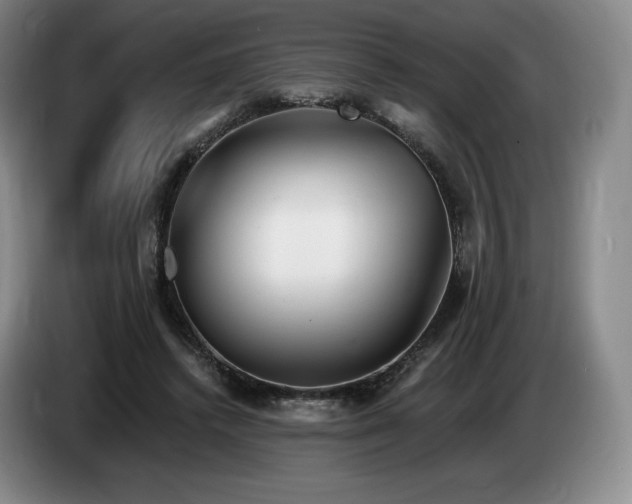 X0000085000448200703121504