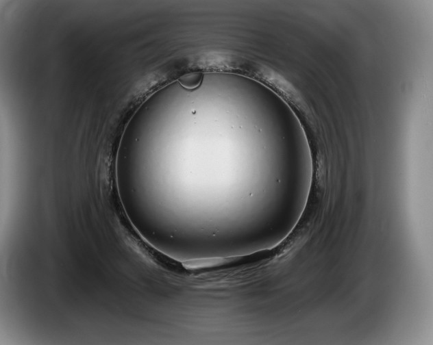 X0000085000449200703121504