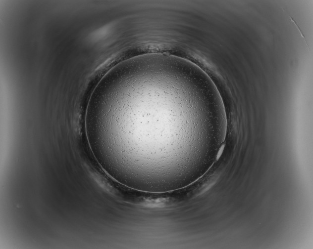 X0000085000450200703121504