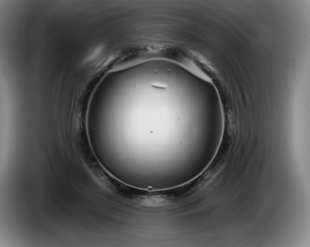 X0000085000451200703121504