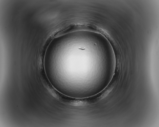 X0000085000453200703121504