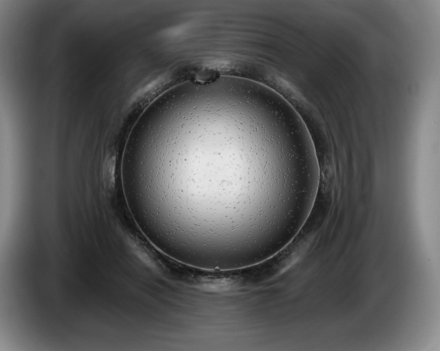 X0000085000454200703121504