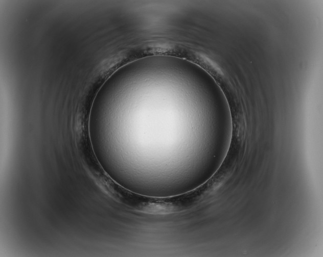 X0000085000455200703121504