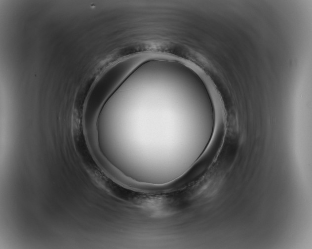 X0000085000456200703121504