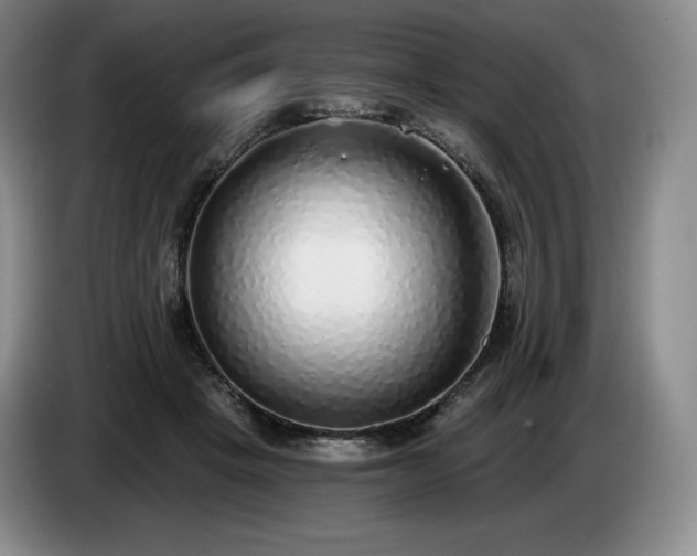 X0000085000457200703121504