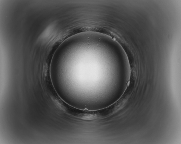 X0000085000458200703121504