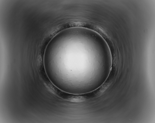 X0000085000459200703121504