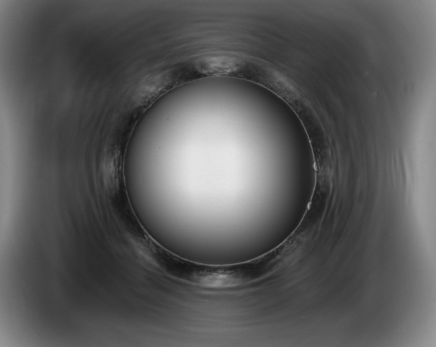 X0000085000460200703121504