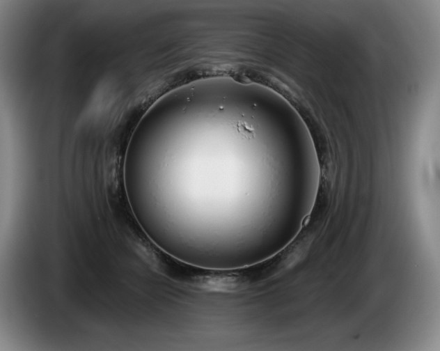 X0000085000462200703121504