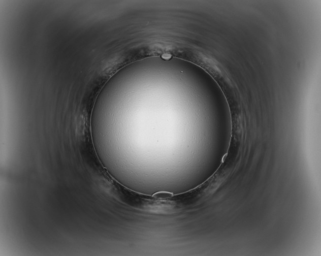 X0000085000463200703121504