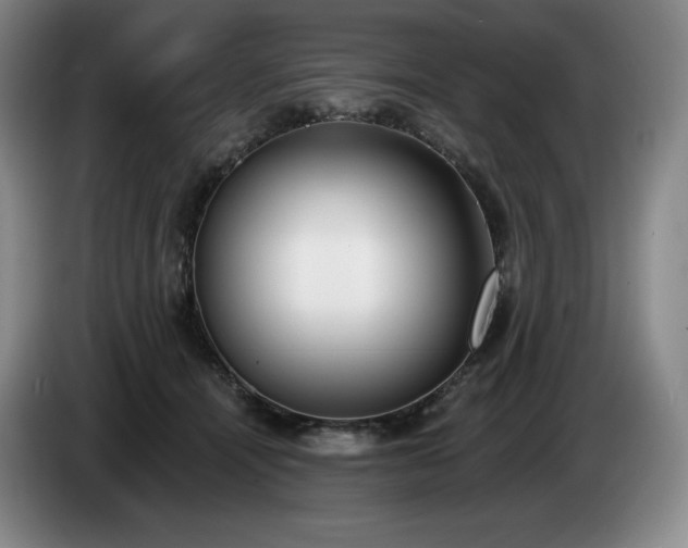 X0000085000464200703121504