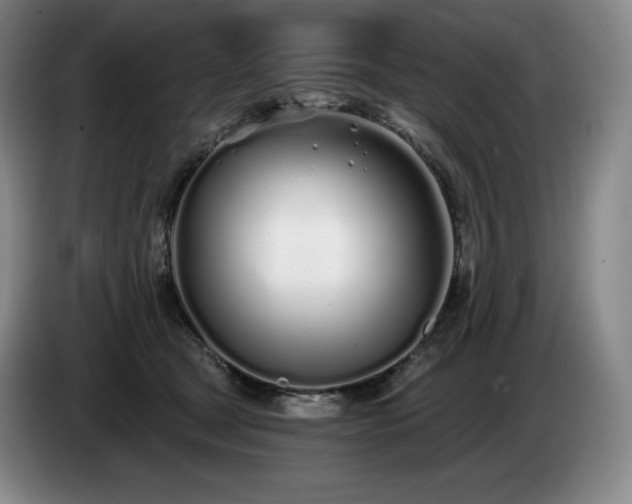 X0000085000465200703121504