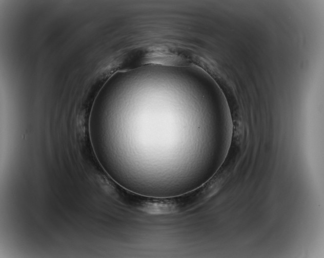 X0000085000466200703121504