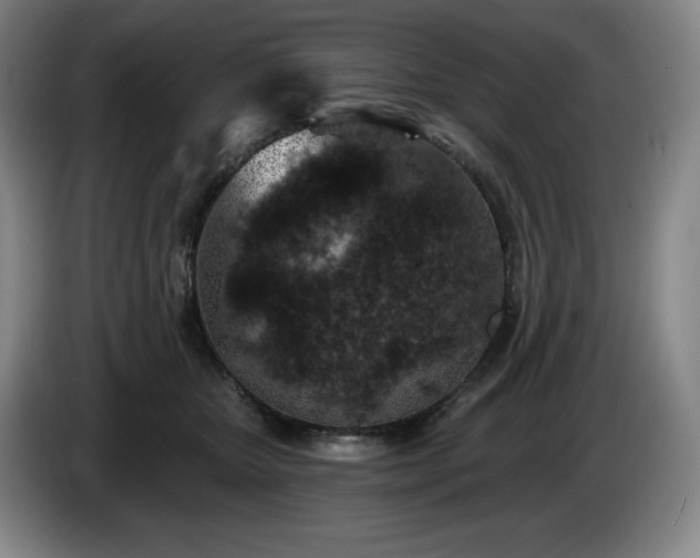 X0000085000467200703121504