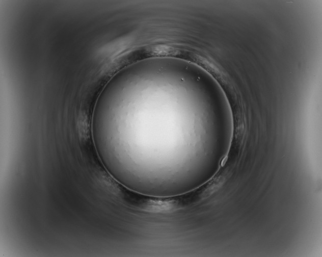 X0000085000469200703121504