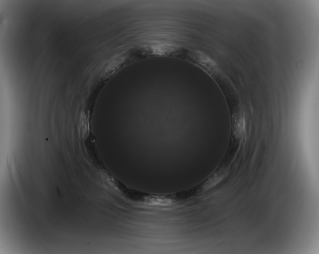 X0000085000471200703121504