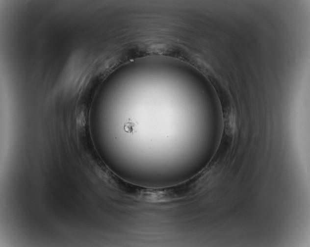 X0000085000472200703121504