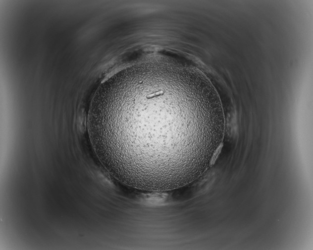 X0000085000474200703121504