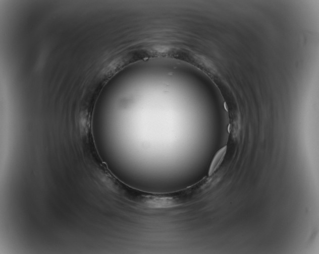 X0000085000476200703121504