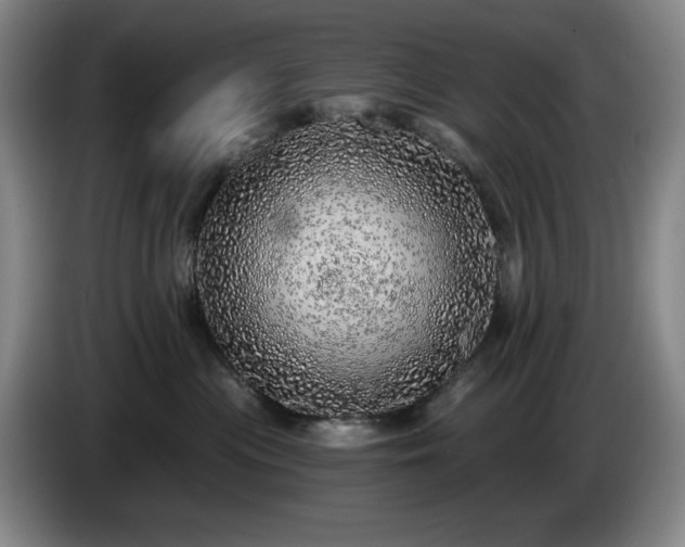 X0000085000477200703121504