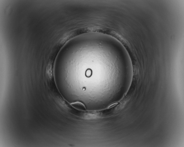 X0000085000479200703121504